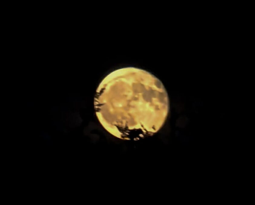 Bulan Gallery